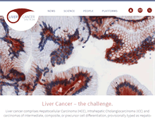 Tablet Screenshot of livercancer.de